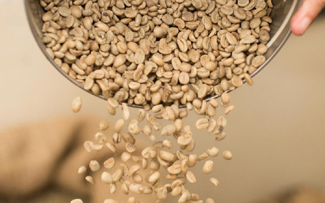 Introduction to Arabica Coffee: Origin, Health Benefits, and Ways to Savor It