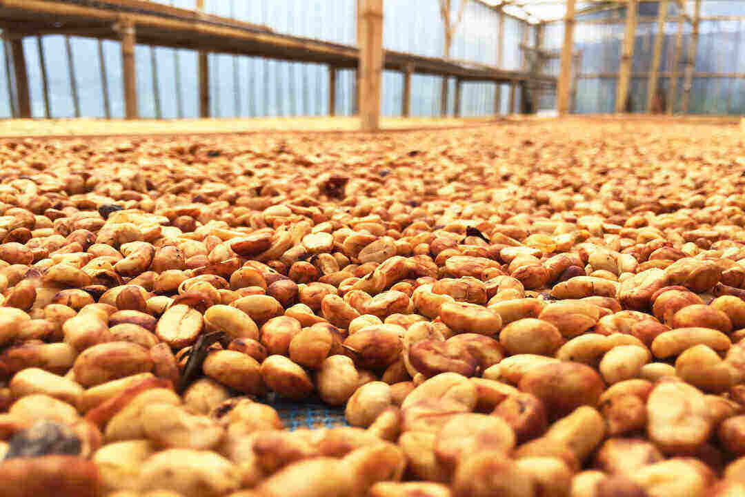honey processing