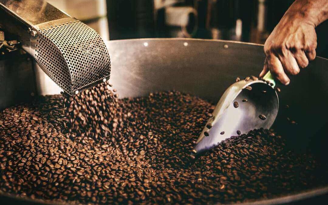 Common Roasting Levels You Need to Know