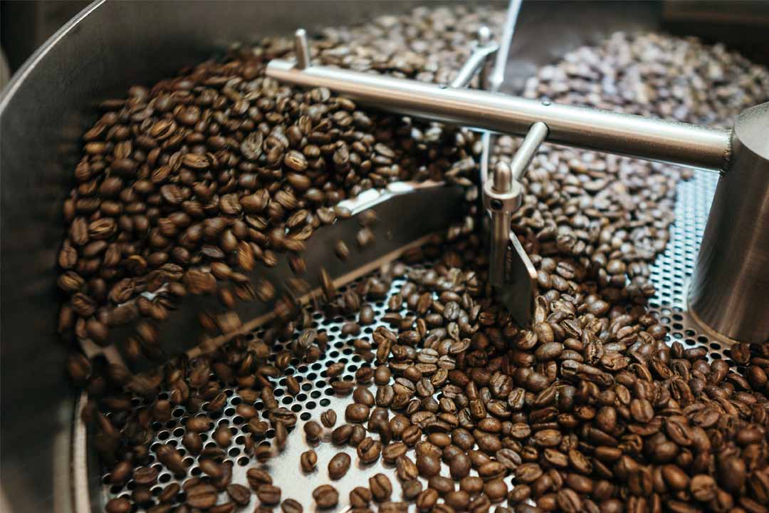 Arabica VS Robusta coffee