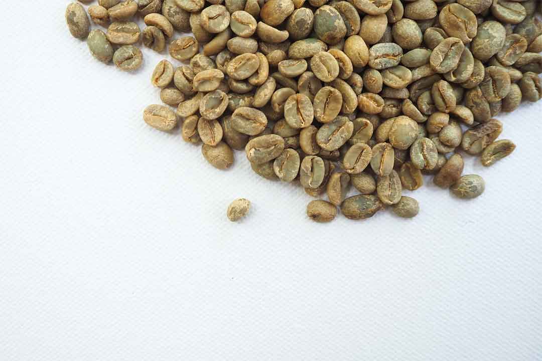 green coffee facts