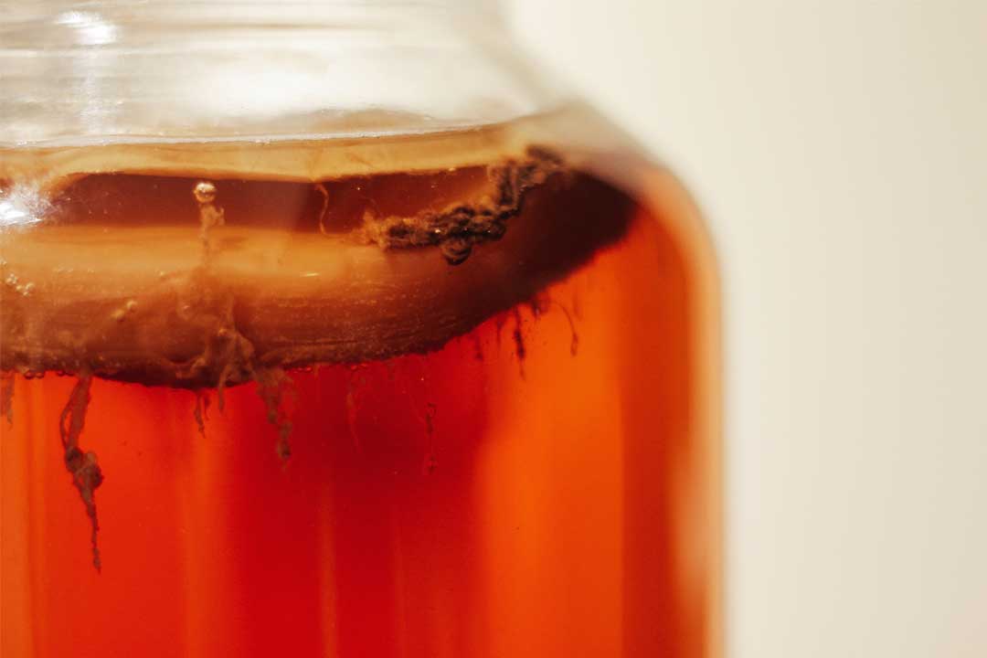 Kombucha coffee