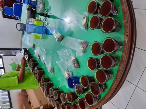 Cupping table set with rows of coffee cups and green bean samples for quality checks