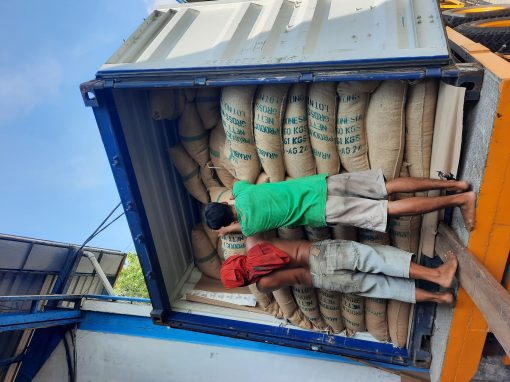 Two workers stacking coffee sacks inside a shipping container