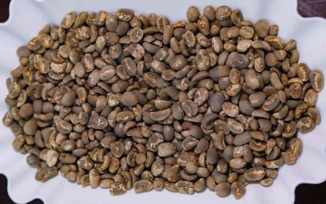Gayo coffee from the Gayo Highlands of Aceh