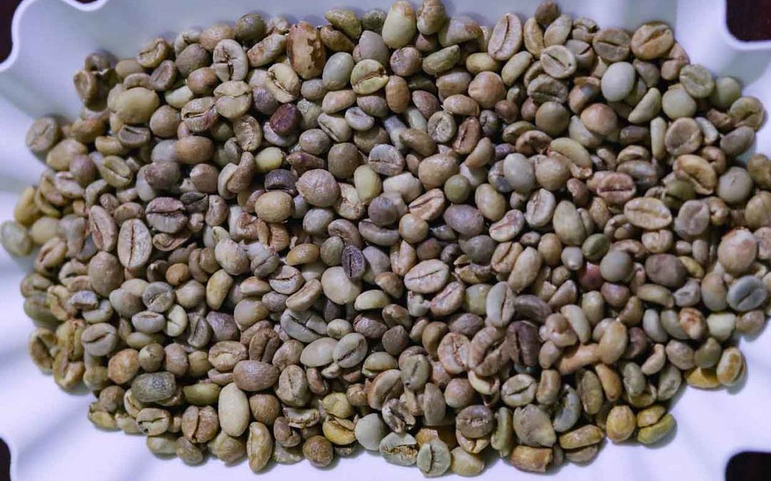 Sumatra Robusta: Sidikalang Coffee Origin, Taste & Uses