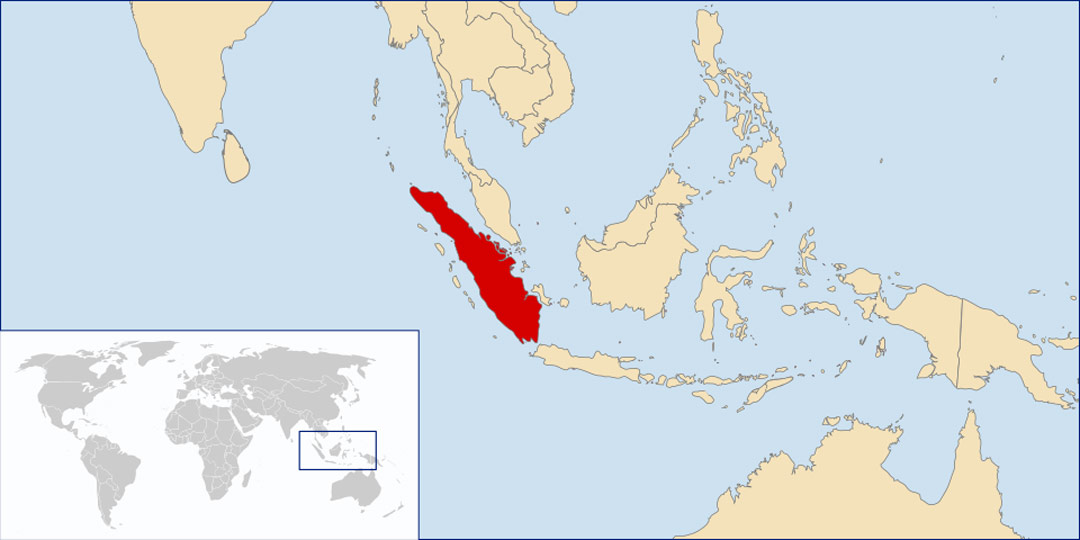 Sumatra Coffee: Regions, Flavor & How to Buy It